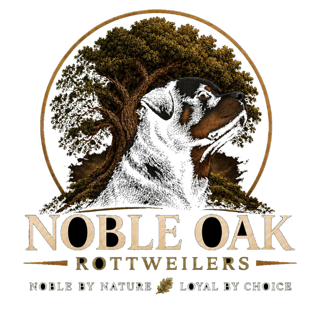 Noble Oak Rottweilers logo