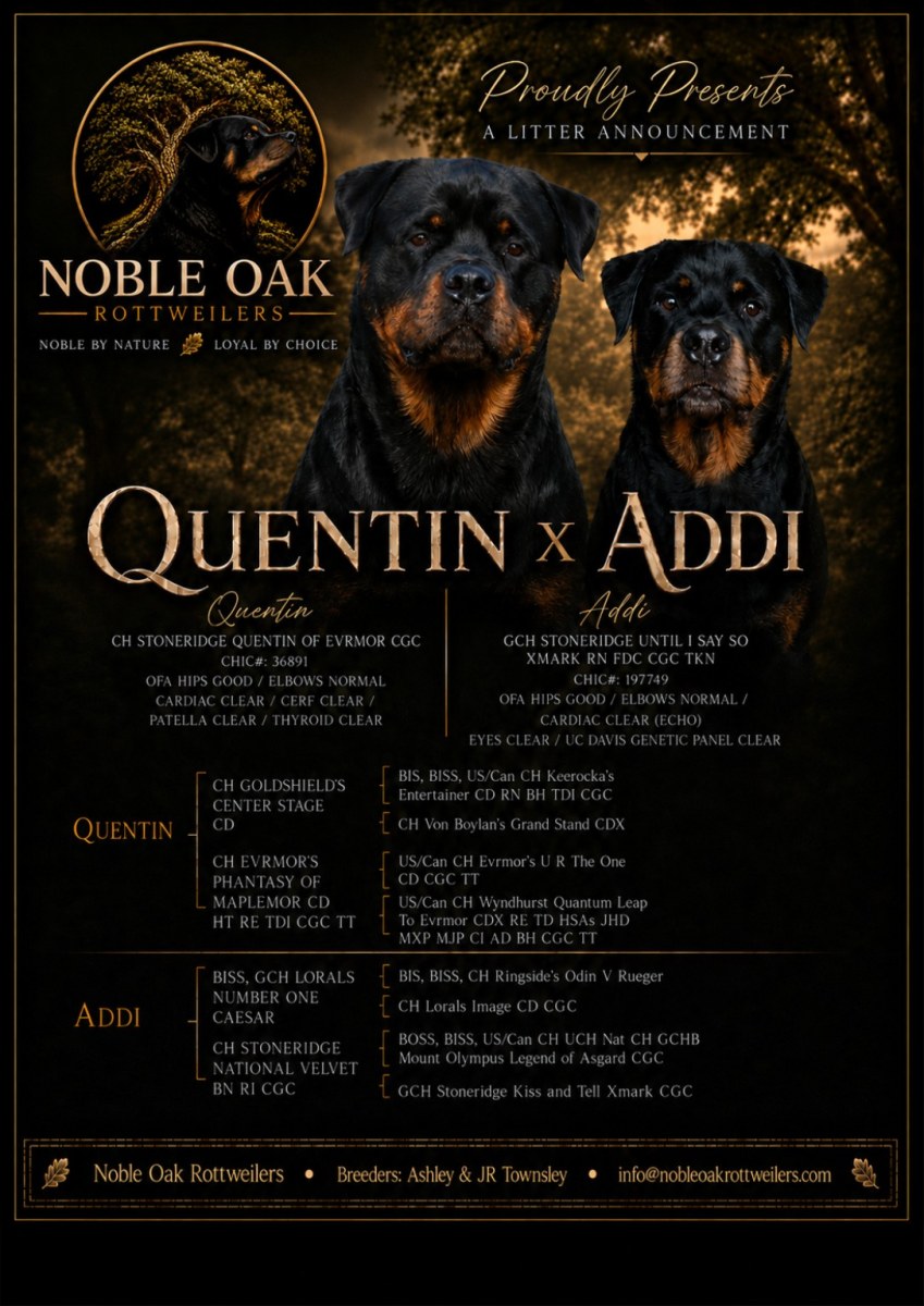 Spring 2026 Litter announcement